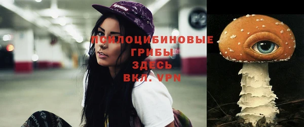 хмурый Корсаков