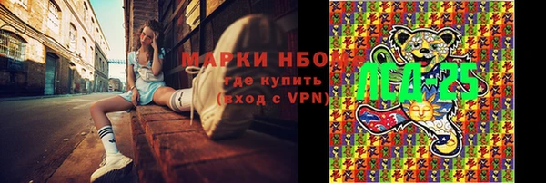 хмурый Корсаков