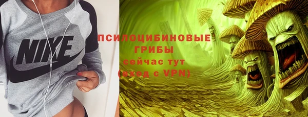 ALPHA PVP Костерёво