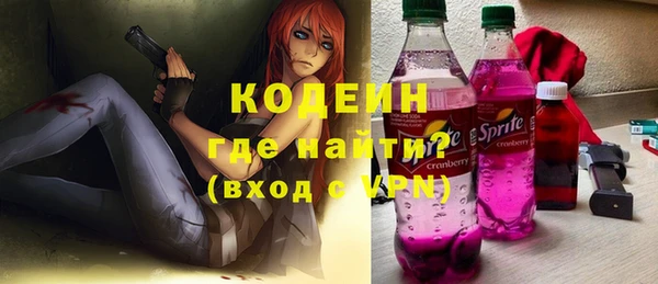 хмурый Корсаков