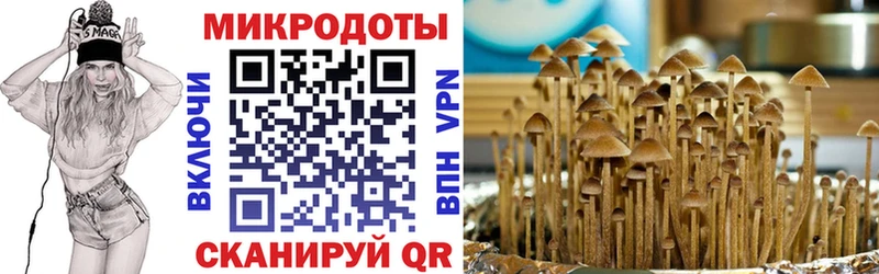 Купить закладки  Луховицы  Галлюциногенные грибы мухоморы 
